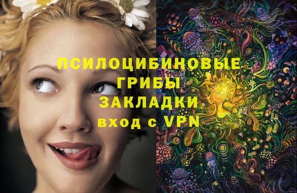 меф Дмитров