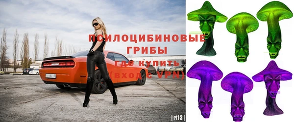 экстази Дмитриев