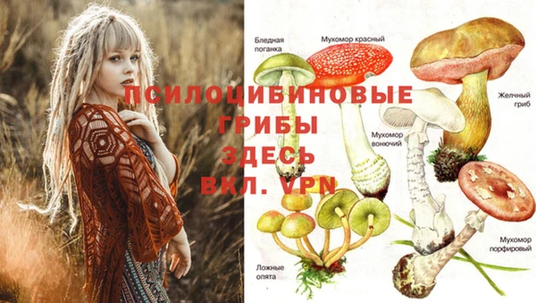 меф Дмитров