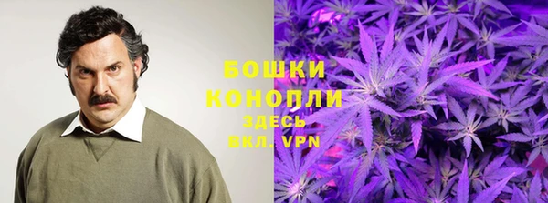 экстази Дмитриев
